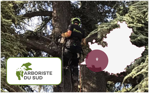 arboriste-sud