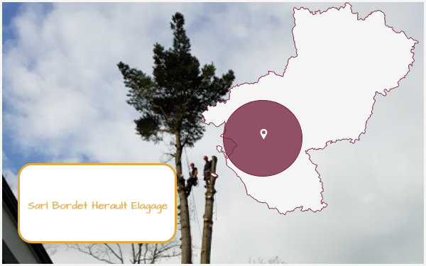 bordet-herault