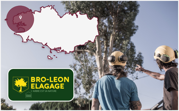 bro-leon