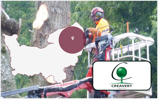 creavert