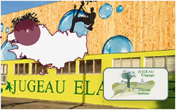 jugeau