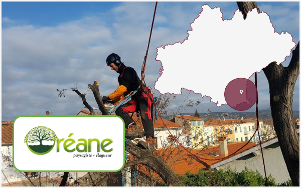 oreane