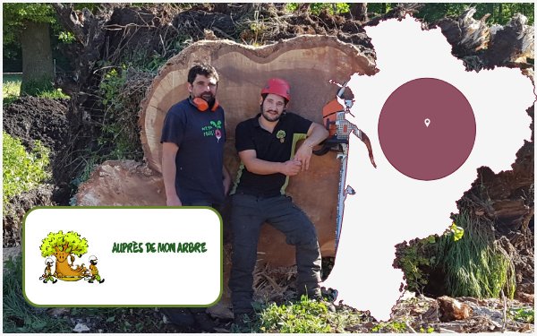 Auprsdemonarbre