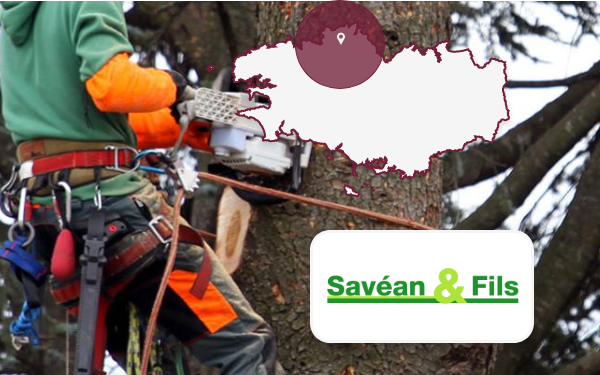 SAVEANetfils