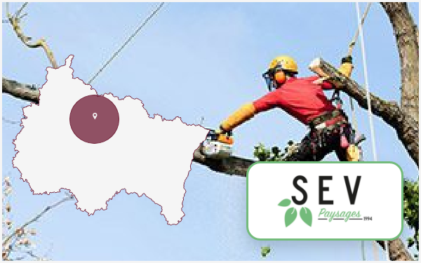 sev